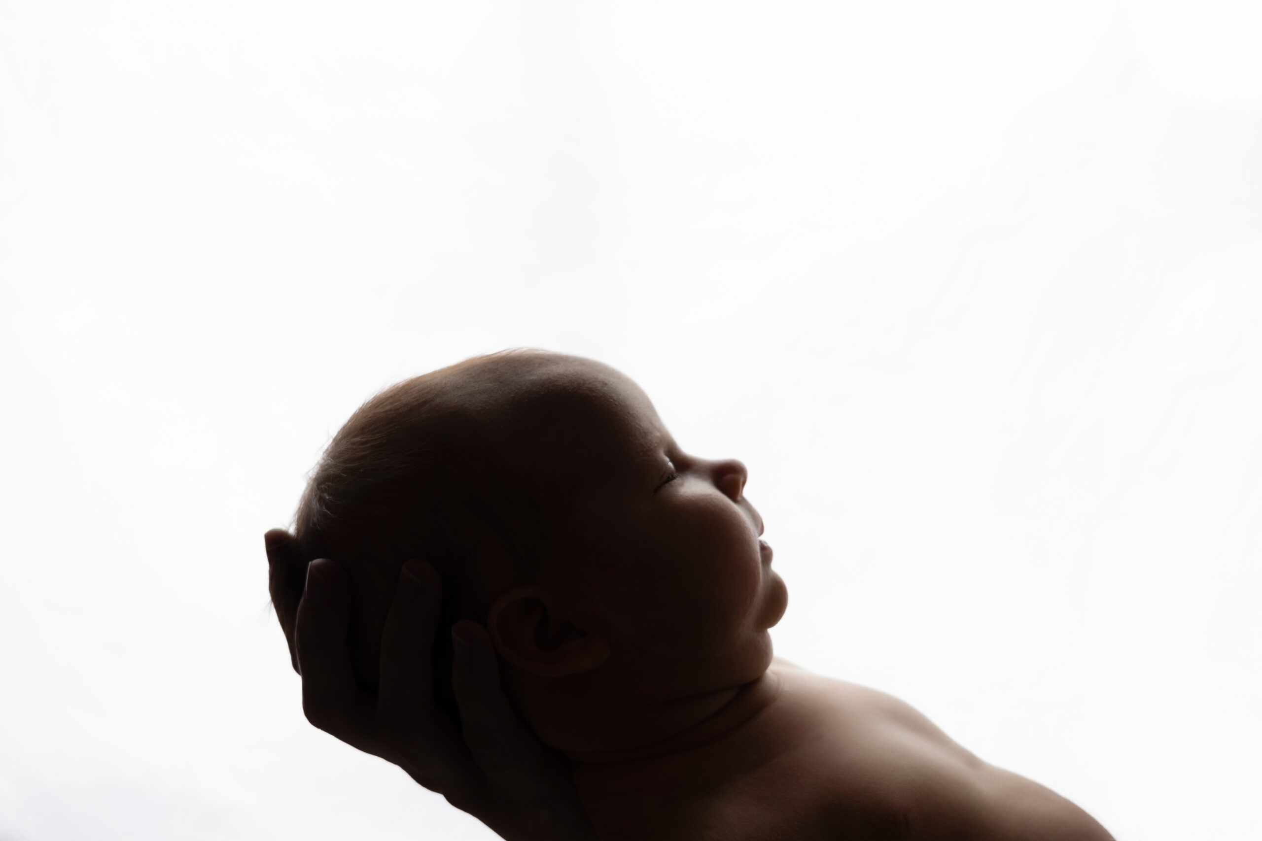 Light Silhouette of Newborn